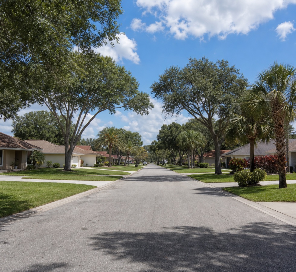 A quiet North Pinellas street of single story homes with live oaks, cabbage palms and well kept St. Augustine lawns.